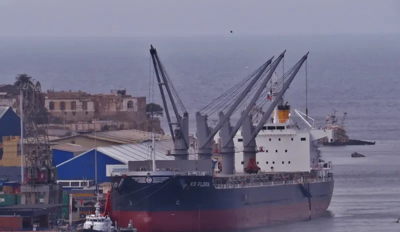 FLORA K Bulk Carrier IMO 9708538 photo 8