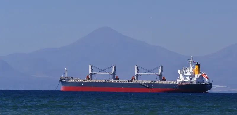 FLORA K Bulk Carrier IMO 9708538 photo 10