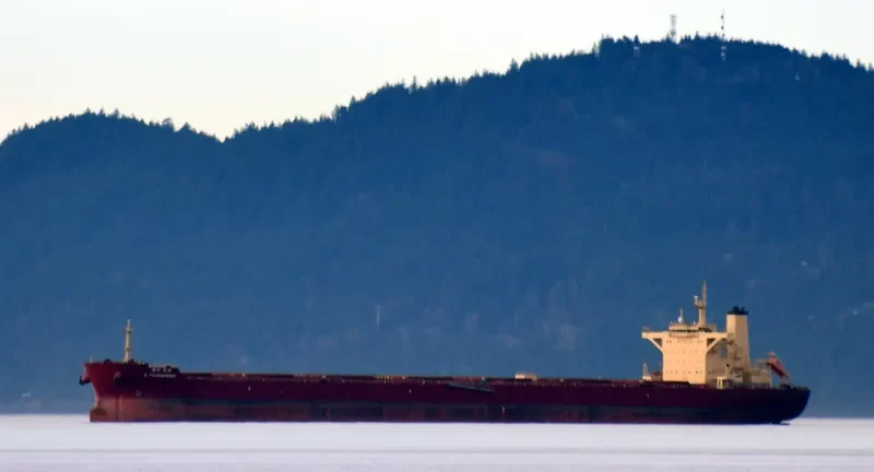 K.YOUNGHUNG Bulk Carrier IMO 9708590