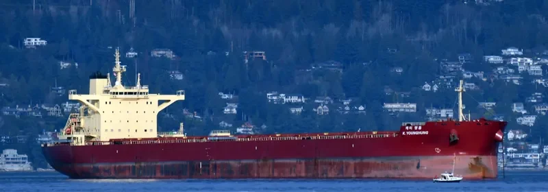 K.YOUNGHUNG Bulk Carrier IMO 9708590 photo 3