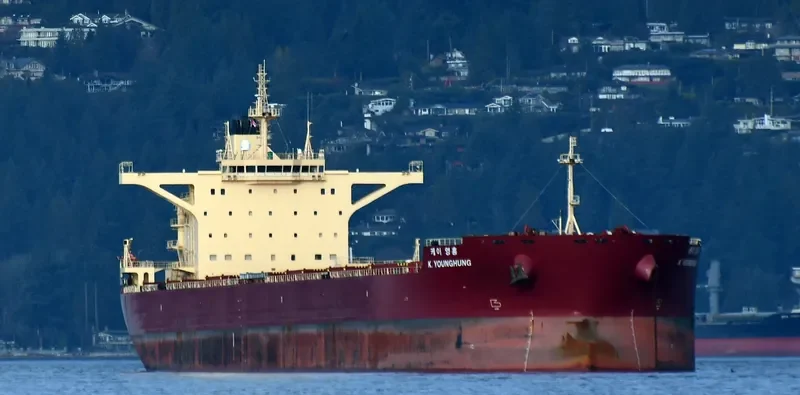 K.YOUNGHUNG Bulk Carrier IMO 9708590 photo 4
