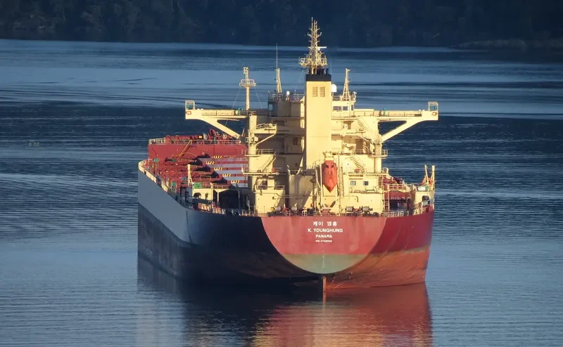 K.YOUNGHUNG Bulk Carrier IMO 9708590 photo 5