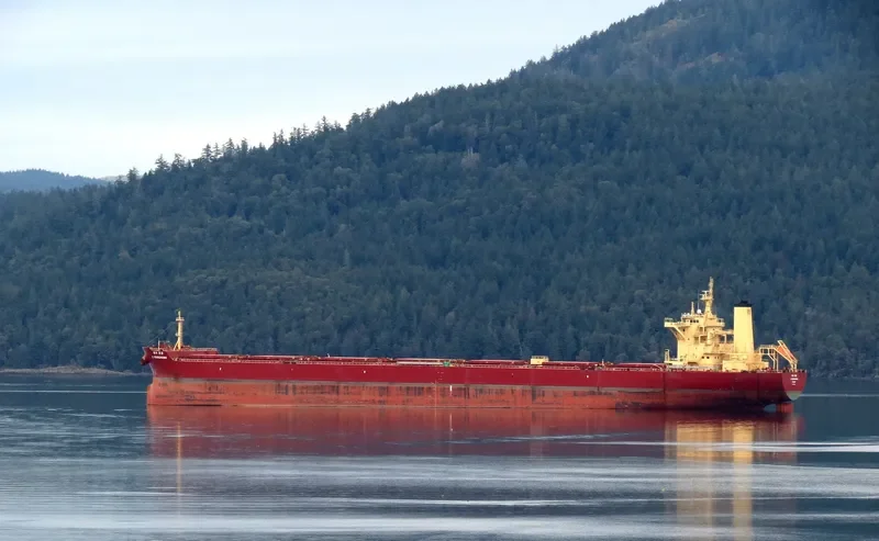 K.YOUNGHUNG Bulk Carrier IMO 9708590 photo 6