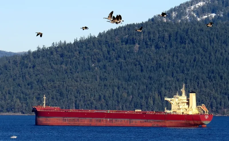 K.YOUNGHUNG Bulk Carrier IMO 9708590 photo 7