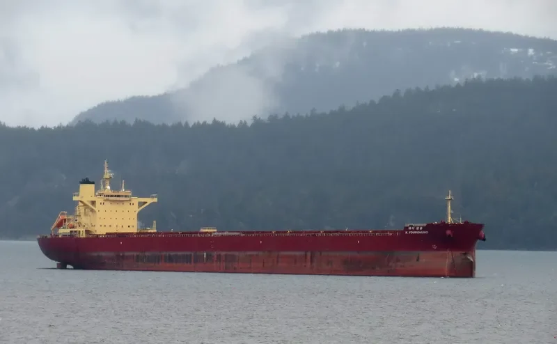 K.YOUNGHUNG Bulk Carrier IMO 9708590 photo 8