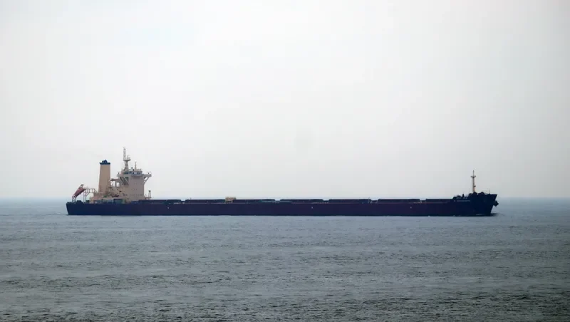 K.YOUNGHUNG Bulk Carrier IMO 9708590 photo 10