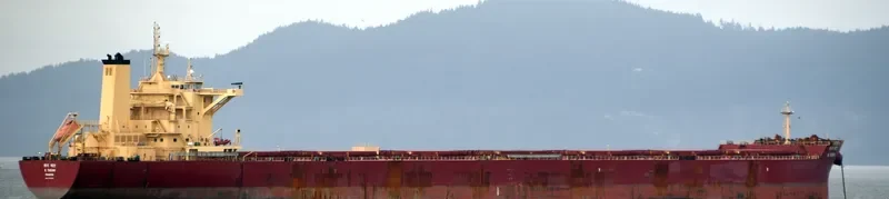 K.TAEAN Bulk Carrier IMO 9708605 photo 6