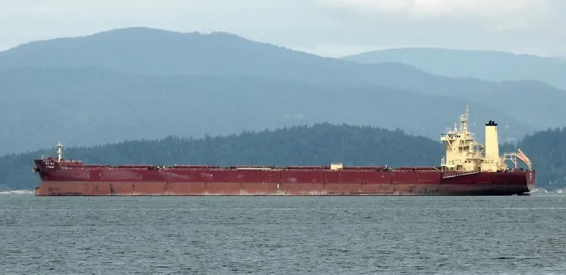 K.TAEAN Bulk Carrier IMO 9708605 photo 7