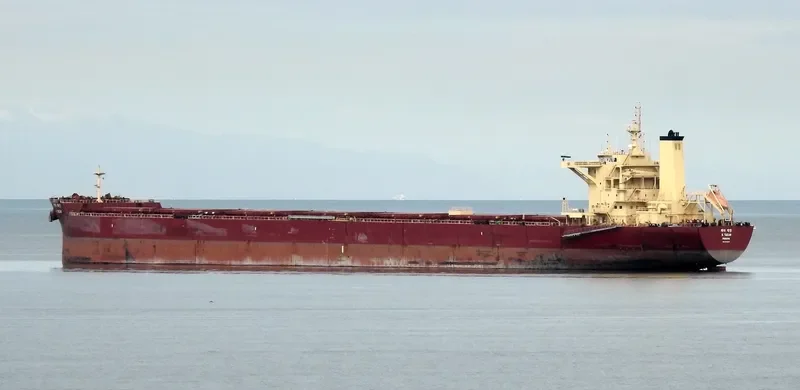 K.TAEAN Bulk Carrier IMO 9708605 photo 8