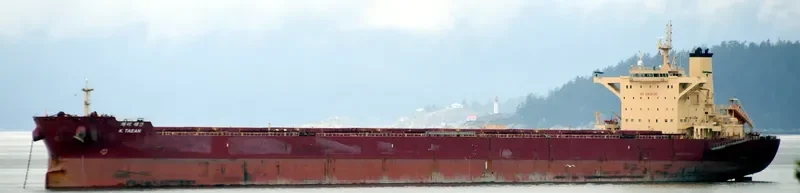 K.TAEAN Bulk Carrier IMO 9708605 photo 9