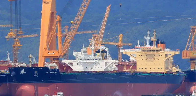 HL HADONG Bulk Carrier IMO 9708631