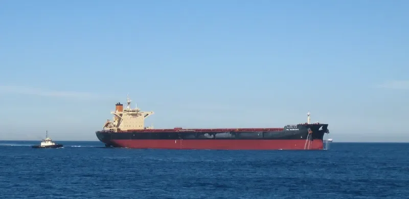 HL HADONG Bulk Carrier IMO 9708631 photo 4