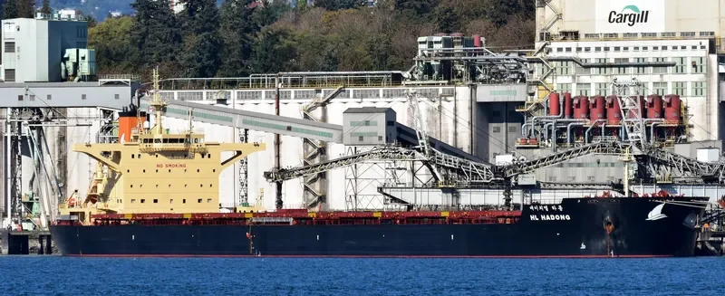 HL HADONG Bulk Carrier IMO 9708631 photo 5