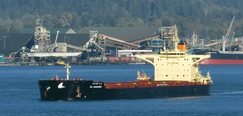 HL HADONG Bulk Carrier IMO 9708631 photo 6