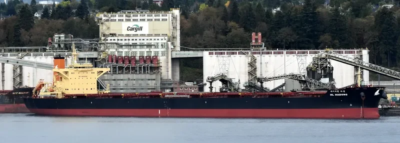HL HADONG Bulk Carrier IMO 9708631 photo 7