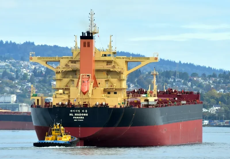 HL HADONG Bulk Carrier IMO 9708631 photo 8