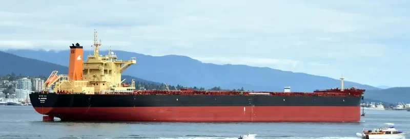 HL HADONG Bulk Carrier IMO 9708631 photo 9