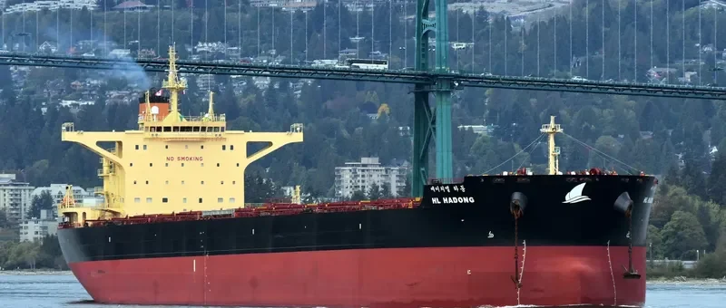 HL HADONG Bulk Carrier IMO 9708631 photo 10