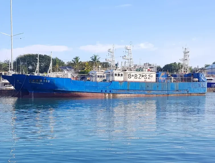 LU RONG YUAN YU 599 General Cargo IMO 9708667