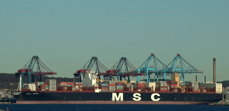 MSC MAYA Container Ship IMO 9708679