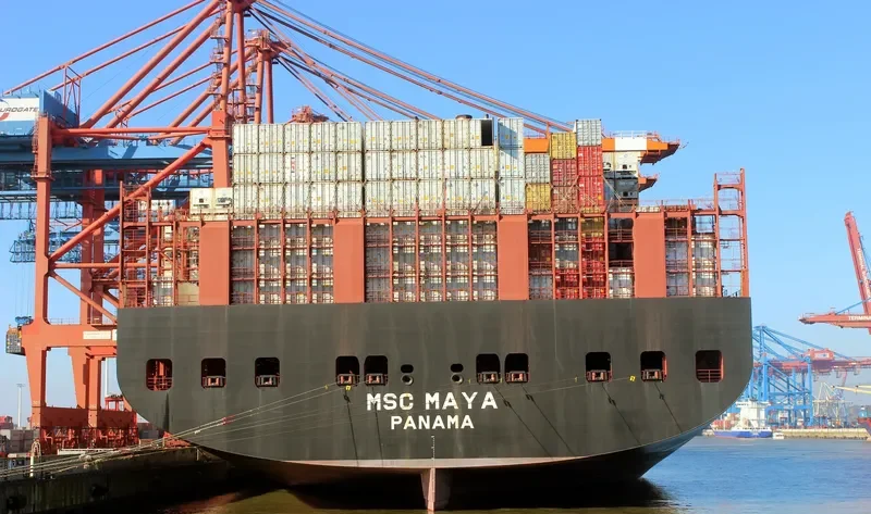MSC MAYA Container Ship IMO 9708679 photo 2