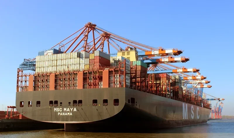 MSC MAYA Container Ship IMO 9708679 photo 3