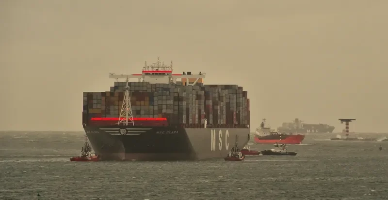 MSC CLARA Container Ship IMO 9708693 photo 4