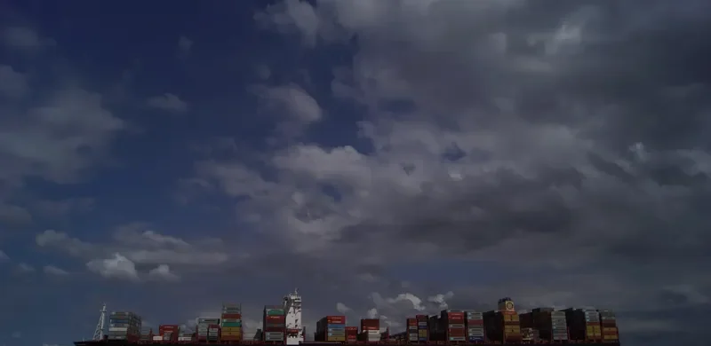 MSC CLARA Container Ship IMO 9708693 photo 8
