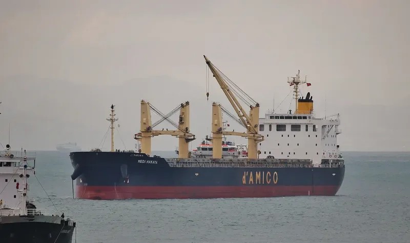 MEDI HAKATA Bulk Carrier IMO 9708746 photo 2