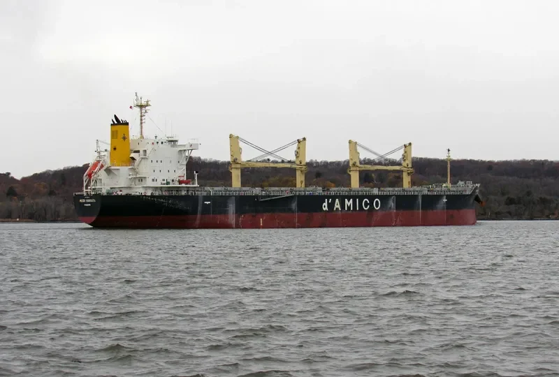 MEDI HAKATA Bulk Carrier IMO 9708746 photo 3