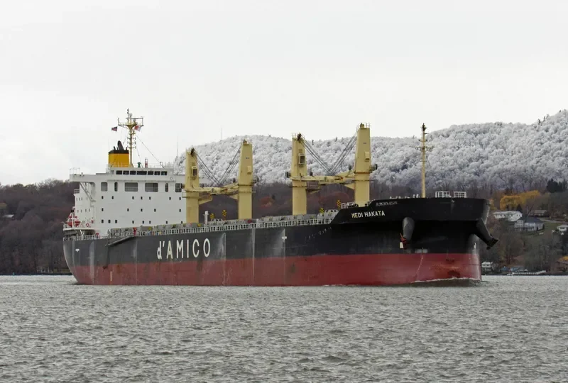 MEDI HAKATA Bulk Carrier IMO 9708746 photo 4