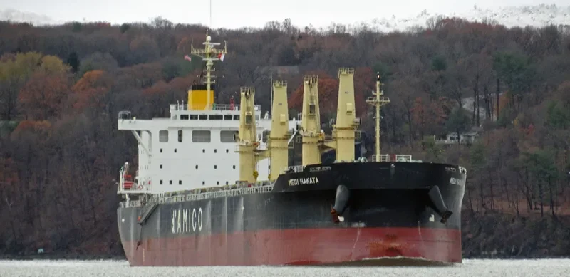 MEDI HAKATA Bulk Carrier IMO 9708746 photo 5