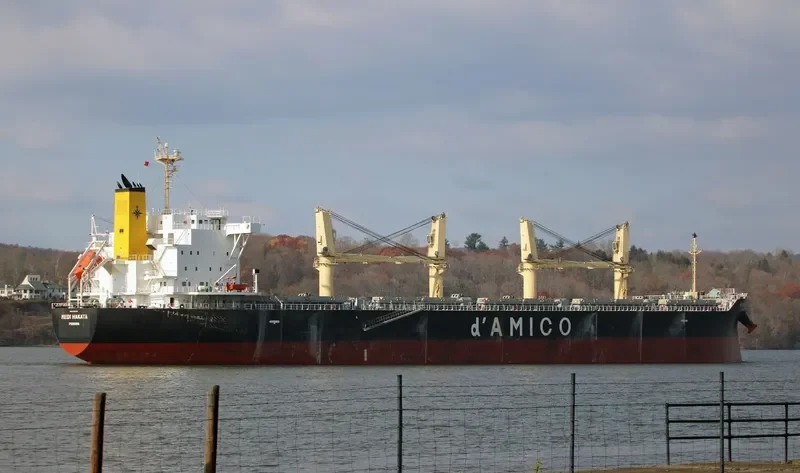 MEDI HAKATA Bulk Carrier IMO 9708746 photo 6