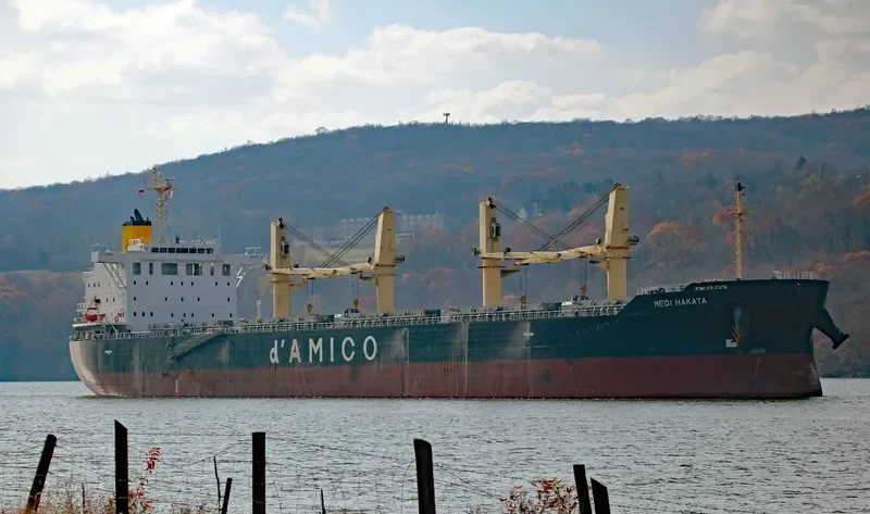 MEDI HAKATA Bulk Carrier IMO 9708746 photo 7