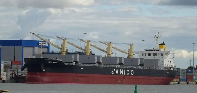 MEDI HAKATA Bulk Carrier IMO 9708746 photo 8