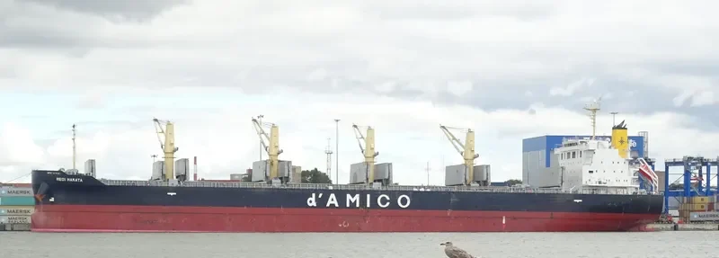 MEDI HAKATA Bulk Carrier IMO 9708746 photo 9