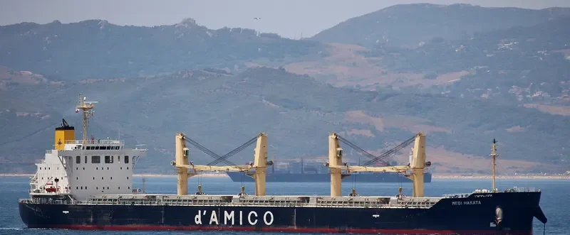 MEDI HAKATA Bulk Carrier IMO 9708746 photo 10
