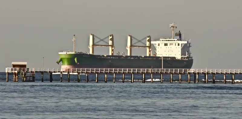 INDIGO SPICA Bulk Carrier IMO 9708758 photo 2