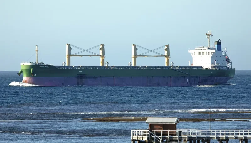 INDIGO SPICA Bulk Carrier IMO 9708758 photo 3