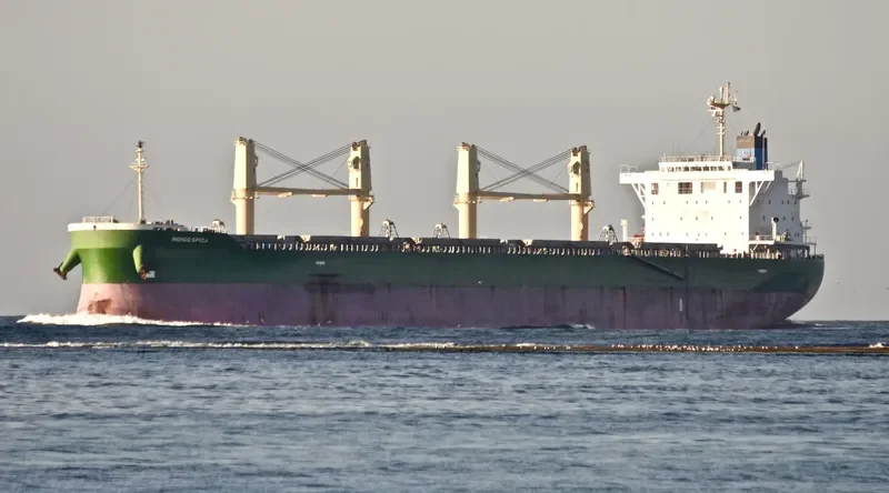 INDIGO SPICA Bulk Carrier IMO 9708758 photo 4