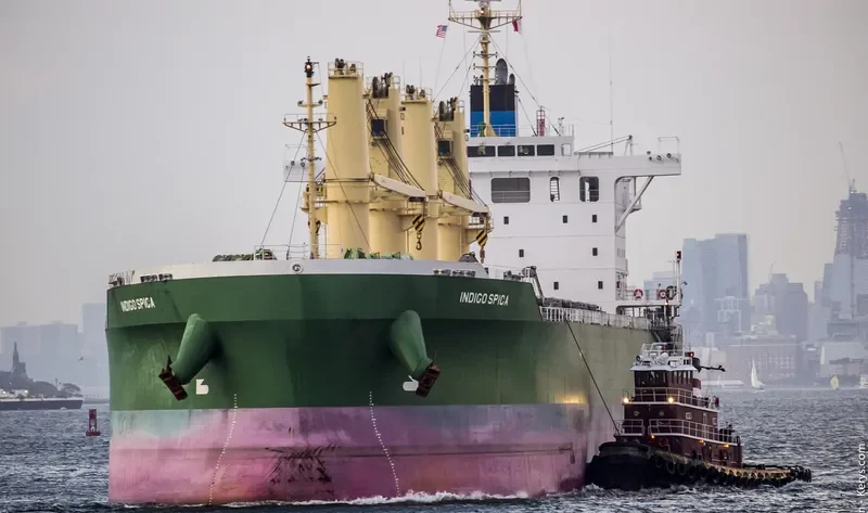 INDIGO SPICA Bulk Carrier IMO 9708758 photo 5