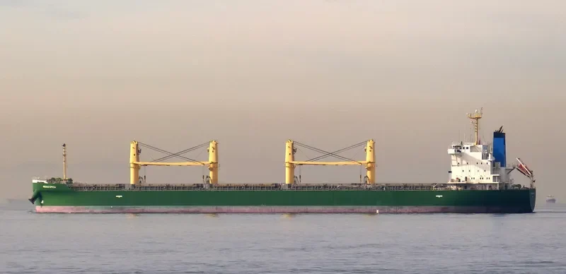 INDIGO SPICA Bulk Carrier IMO 9708758 photo 6