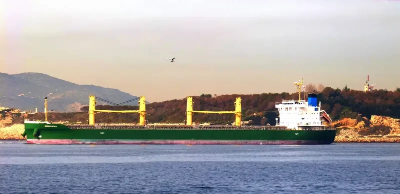 INDIGO SPICA Bulk Carrier IMO 9708758 photo 7