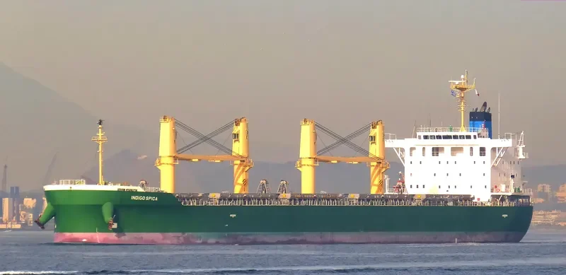 INDIGO SPICA Bulk Carrier IMO 9708758 photo 8