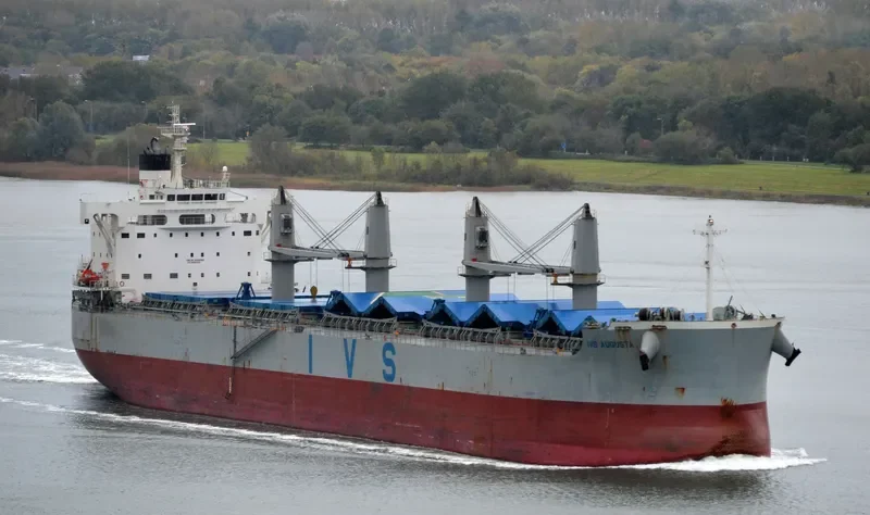MORNING TRAIN Bulk Carrier IMO 9708904