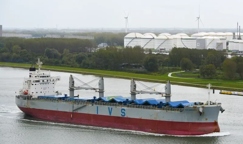 MORNING TRAIN Bulk Carrier IMO 9708904 photo 2