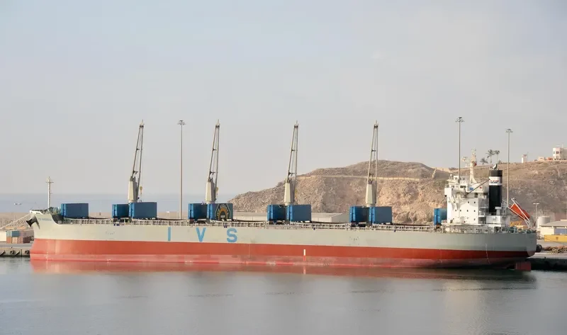 MORNING TRAIN Bulk Carrier IMO 9708904 photo 6