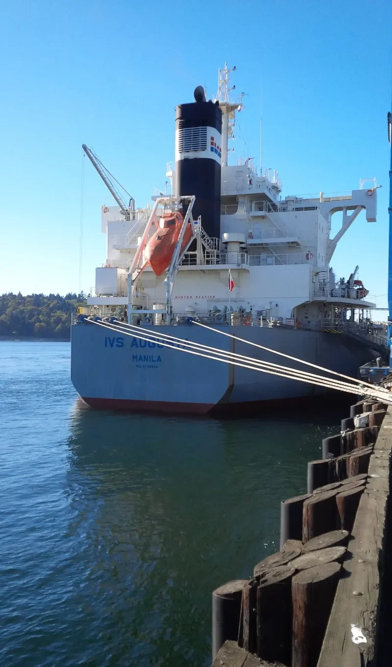MORNING TRAIN Bulk Carrier IMO 9708904 photo 7