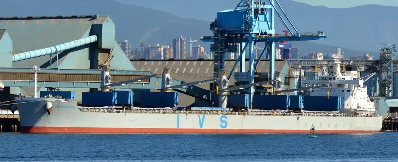 MORNING TRAIN Bulk Carrier IMO 9708904 photo 8