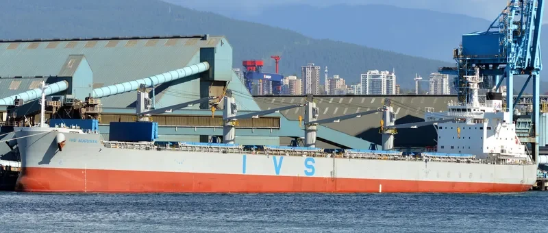 MORNING TRAIN Bulk Carrier IMO 9708904 photo 9